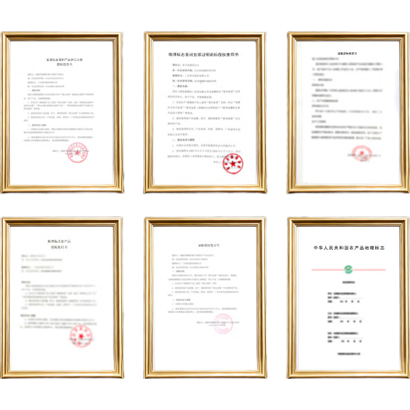 三全中国好饺子速食水饺早餐半成品蒸饺年货送礼 黑猪肉娃娃菜水饺600g/30只