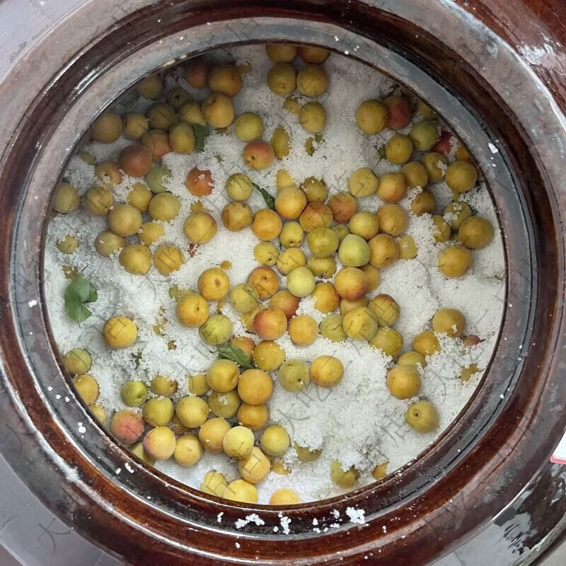 你我他酸梅子广西酸咸水梅盐水梅青梅开胃农家盐渍梅子无添加纯手工新鲜 1瓶酸梅子