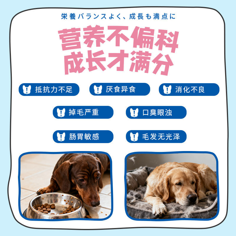 DHC Kitty&Doggy狗狗维生素B复合片微量元素犬用宠物营养补充剂异食挑食厌食美毛 【12种维生素】约30天丨入会享95折