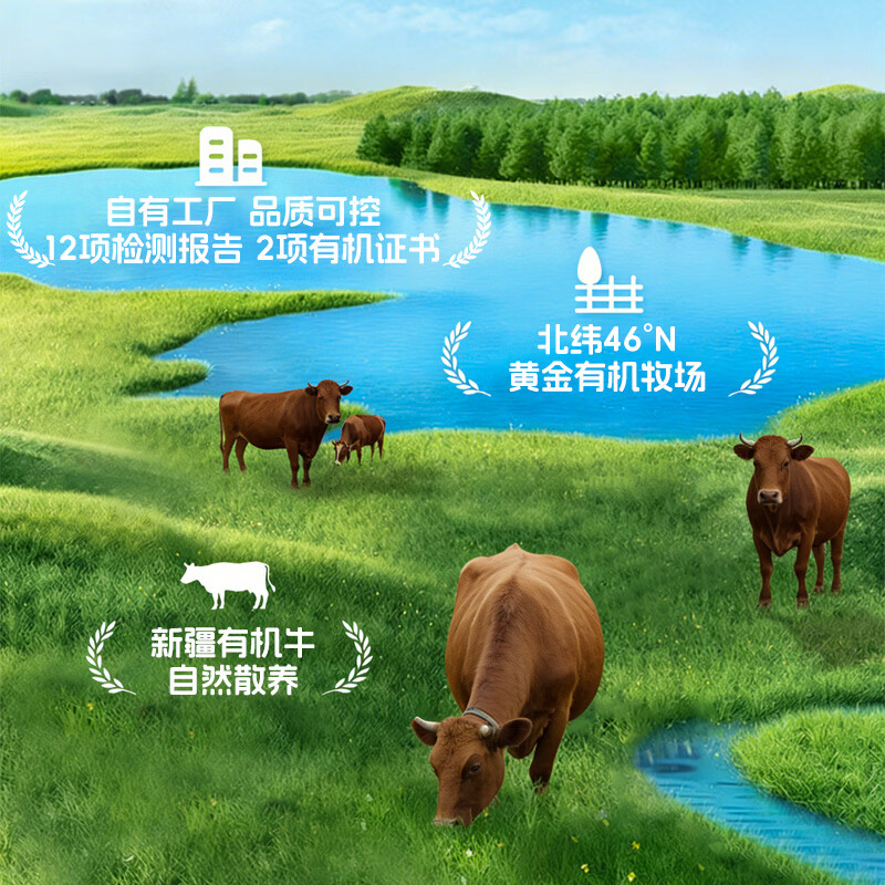 彩云牧歌【京东物流】新疆有机牛腩肉 牛肉 牛腱子 筋头巴脑 火锅烤肉 有机筋头巴脑 2斤