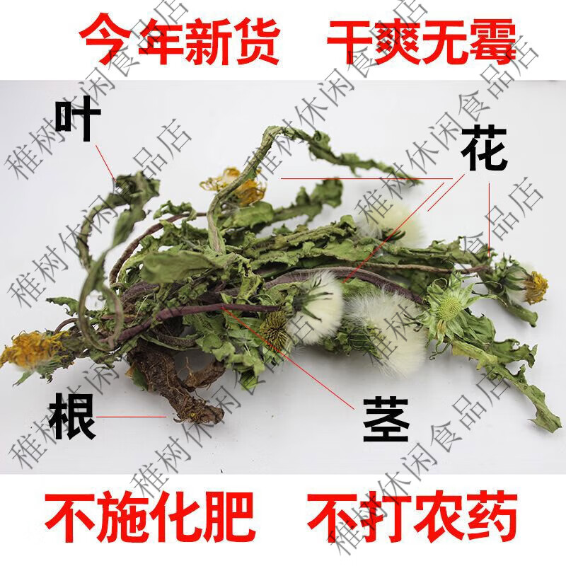 芮哲野生蒲公英茶泡水喝特天然干的级纯整棵株带老根儿中草药材新 100g带根加叶花