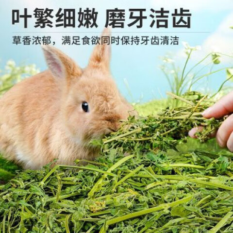 宠尚天（Jonsanty）兔子苜蓿草粮食兔兔口粮食物新鲜烘干草幼兔高纤维营养饲料 呦呦兔A级苜蓿草 2LB-900g