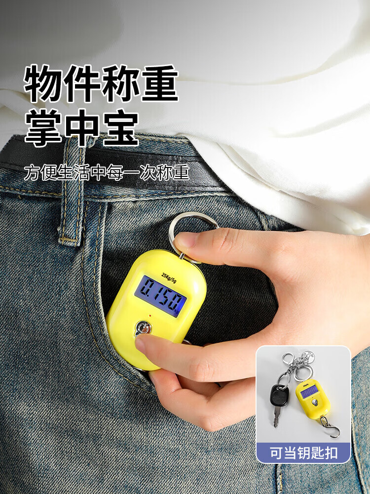 【好物优选】精准迷你手提电子秤高精度便携式小型弹簧秤吊秤家用买菜随身小秤 经典黑【最大可称50斤】送电池