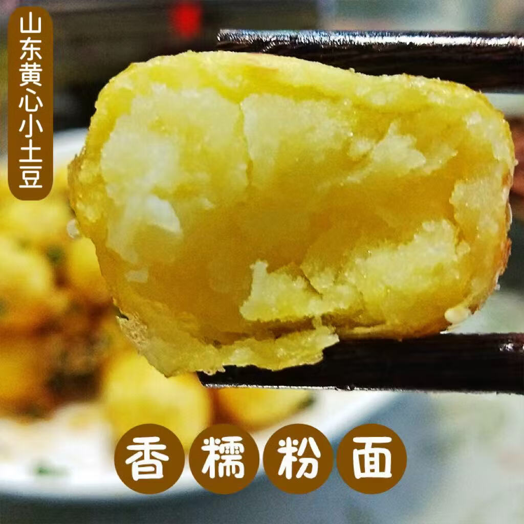 京鲜匠山东新鲜小土豆 现挖黄心马铃薯蔬菜 产地直发 净4.5斤 精品果