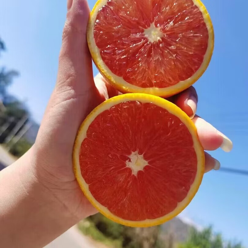 XIAOBO FARM广西百色卡拉血橙红橙手剥橙新鲜爆汁水果橙子甜现摘当季时令水果 净4.5-5斤【老树手选果】