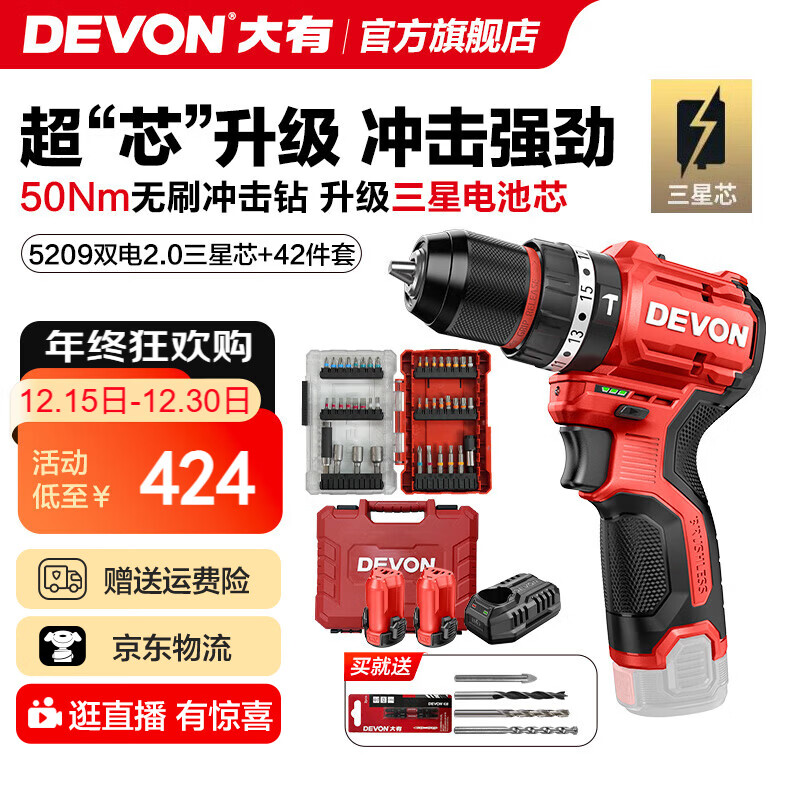 大有（Devon）12V锂电无刷电钻5208手电钻冲击钻5209电动螺丝刀家用电钻DD121 5209 2.0Ah双电快充塑盒+42件套三星芯
