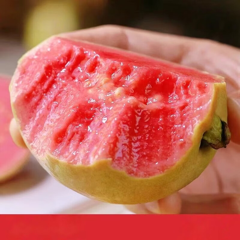 绿熊庄园京东快递奶油软糯红白心芭乐番石榴新鲜当季香甜软芭乐健康轻食 双拼红白心芭乐 净重3斤