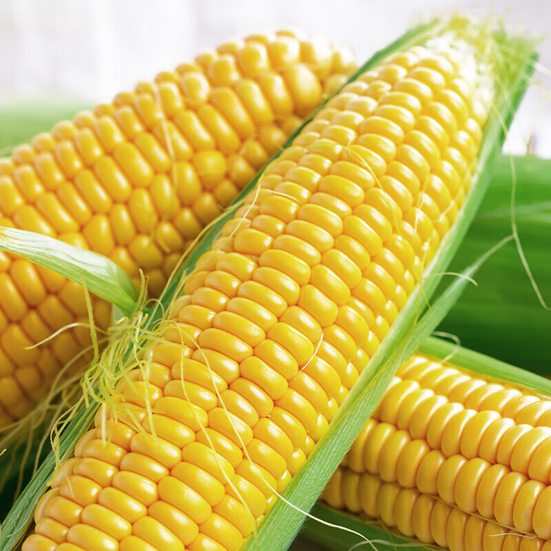 云南新鲜甜玉米5斤带箱单根300g+超大 7.89元 - 86线报