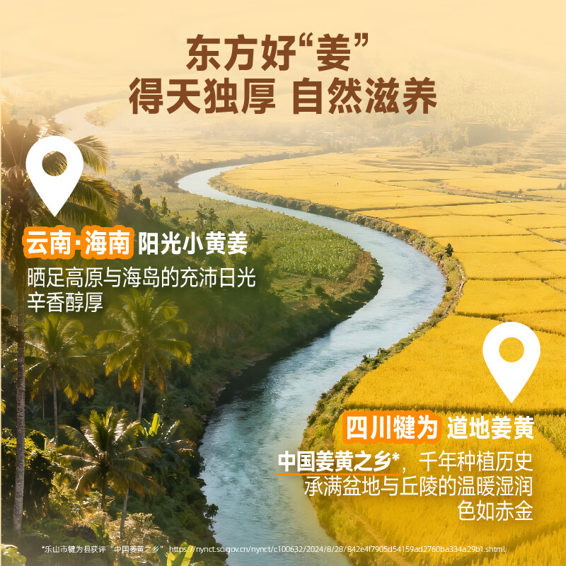 迈胜每日液体蛋白饮姜黄暖暖运动后恢复健身增肌营养乳清蛋白训练补剂 每日蛋白姜撞奶味 15瓶*1箱