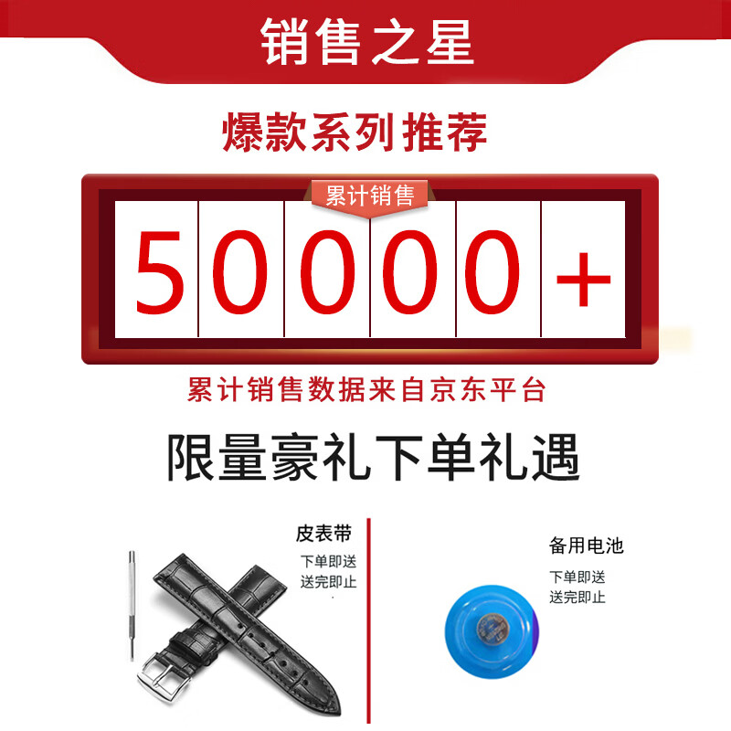 伯恩（BOARRNE）中老年老人手表男士女式大数字夜光电子防水表送爸妈爷爷新年礼物 1708升级-松紧带-日历-女表