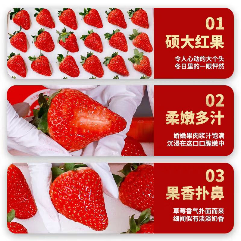 东鲜丰四川大凉山草莓新鲜草莓水果高山露天种植红颜草莓现摘现发 【250克/20-24枚】*2盒装