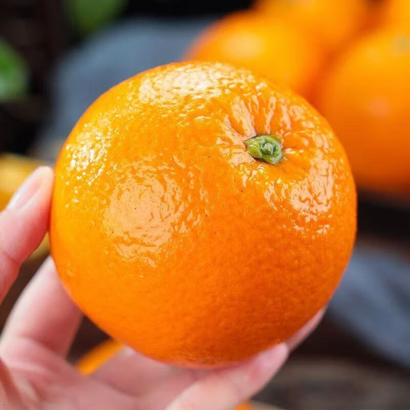 重庆奉节脐橙整箱新鲜当季正宗橙子生鲜纽荷尔橙子可榨汁手剥脐橙 净重5斤【单果70mm+】推荐