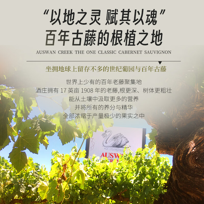天鹅庄澳大利亚原瓶进口红酒赤霞珠干红葡萄酒 750ML送礼礼物 领事赤霞珠 750ML*2瓶