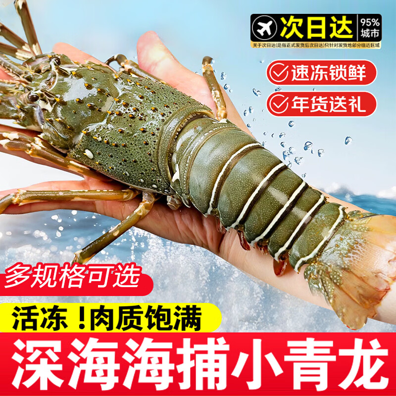 百鲜洽 小青龙虾新鲜海捕活冻特大青龙虾海鲜水产春节送礼团圆年夜饭 净重2斤实惠装3-4只【超实惠】