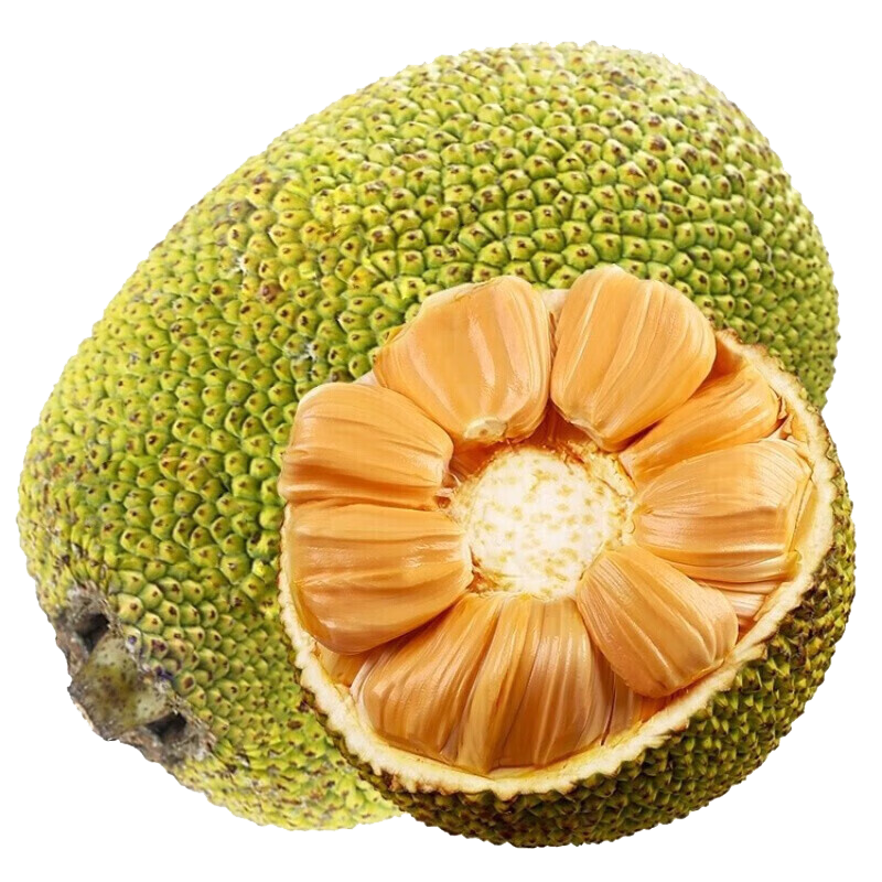 京鲜生海南泰八菠萝蜜 12-14斤净重12斤+  新鲜水果 京东自营 源头直发