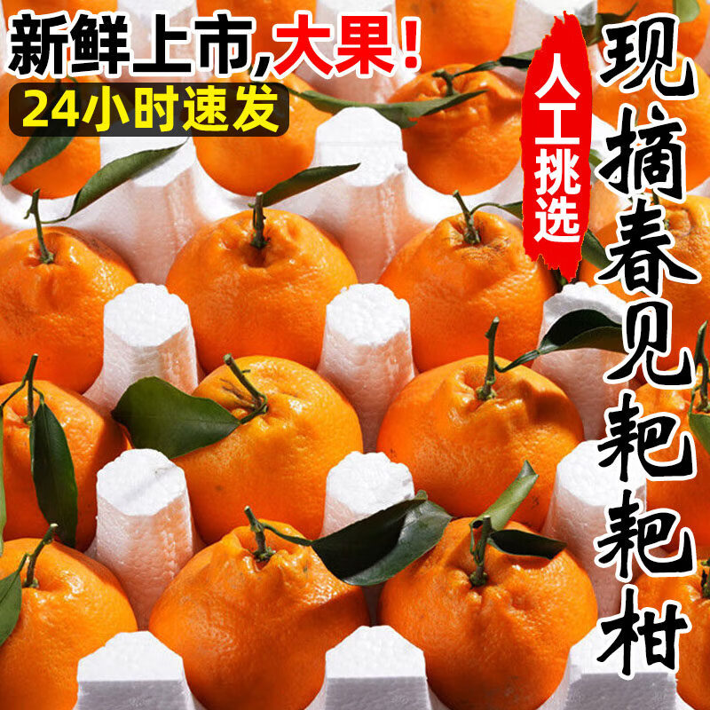 四川春见耙耙柑粑粑柑杷杷柑正宗水果新鲜整箱当季丑桔橘5/10装包 【中果】果肉饱满，经济实惠 3斤净