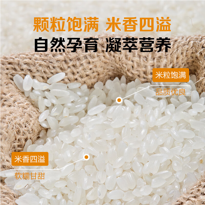 1号会员店长粒香米 5kg 正宗东北大米（十斤）团购 送礼 真空