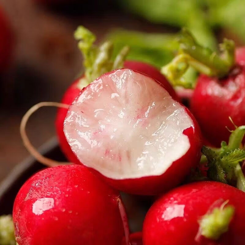 南宁产地直供樱桃萝卜新鲜红皮水果小萝卜生吃健康沙拉水果萝卜 净重9斤