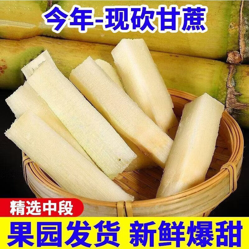 现砍云南头茬黄金甘蔗 产地直发新鲜现摘爆甜多汁甘蔗整箱 5斤带箱 净重4.5斤 【超值装】