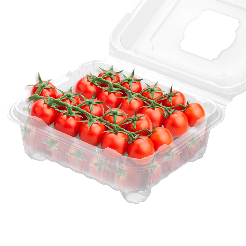 DU'S杜氏水果樱桃番茄 可生吃生鲜蔬菜西红柿黄金酸甜比 源头直发包邮 散串番茄  500g*2盒 1000g