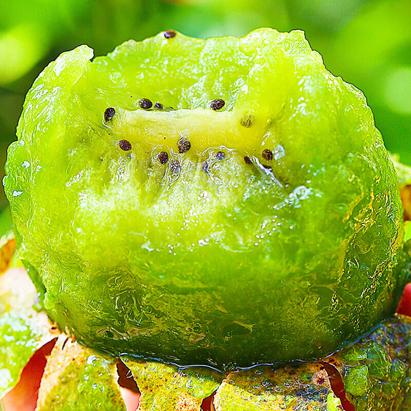 牛爱田 徐香猕猴桃陕西绿心猕猴桃奇异果新鲜水果 绿心果30枚单果60-80g 源产地直发