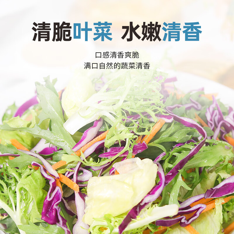 一号农场彩虹什蔬组合免洗新鲜蔬菜开袋即食沙拉菜管理期健身代餐轻食简餐 彩虹什蔬组合300g+益生菌奇亚籽沙拉汁200g