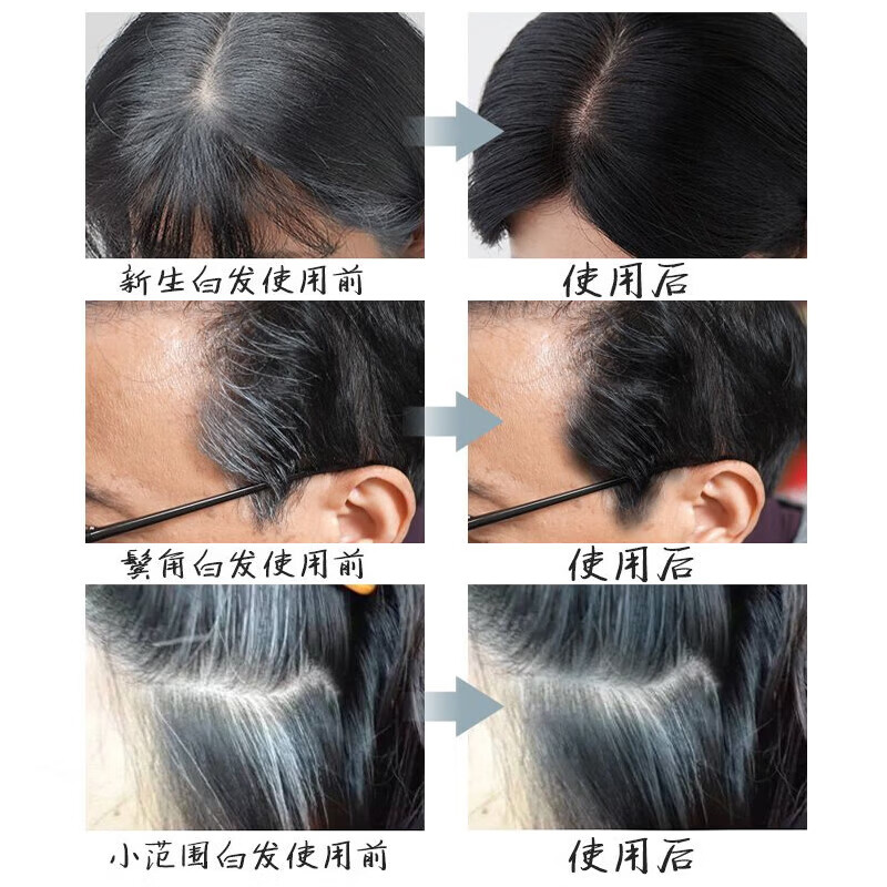 ZYUO【日本】染发笔美发棒植物纯遮盖白发神器不掉色遮白发神器补染 自然黑1支装【免洗遮白 不伤头皮】 孕妇可用