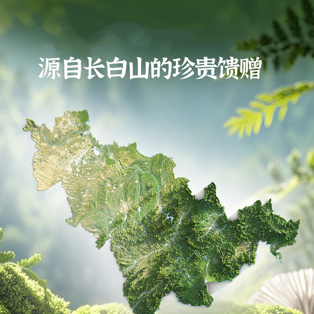 九珍堂吉林长白山野山参粉15年林下野山参磨粉滋补品送长辈春节年货送礼 长白山野山参粉礼盒 1g*12瓶 春节年货送礼