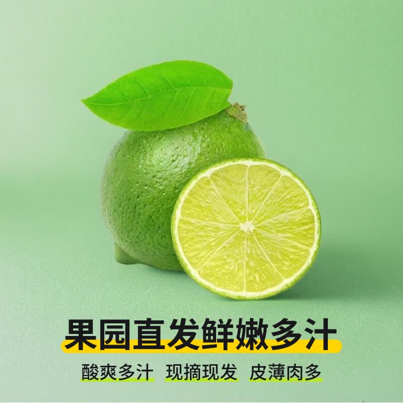 泰国引种塔希提新生青柠檬酸爽多汁薄皮果柠檬水果生鲜 无籽青柠檬9斤精品一级果