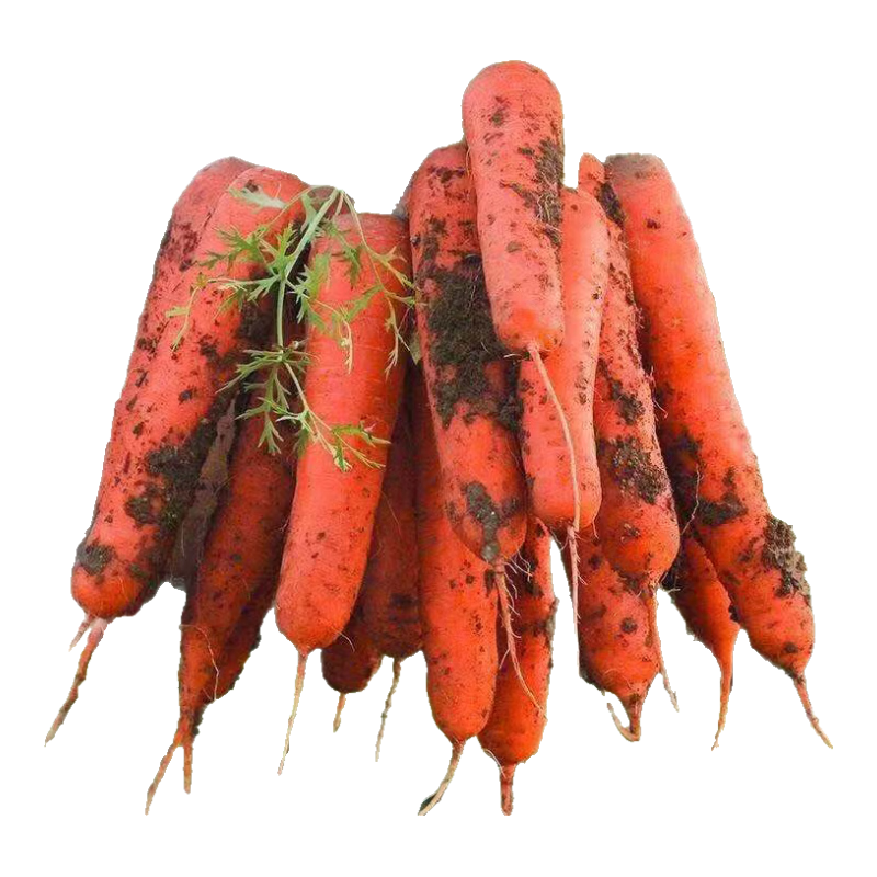 ������ ɽ�����Ĵ�����ܲ� ����4.5�� ����150g+ �߲�Դͷֱ������