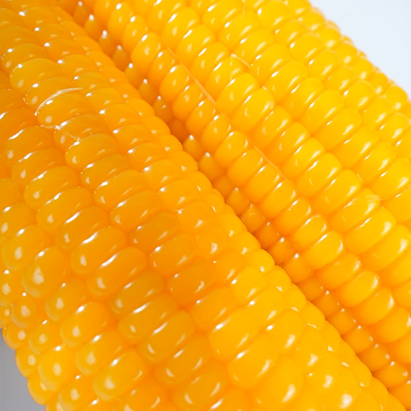 榴某某东北黄糯玉米棒【2025年新玉米】新鲜甜糯玉米棒代餐轻食真空包装 白糯玉米段 7-8段【净重1KG】