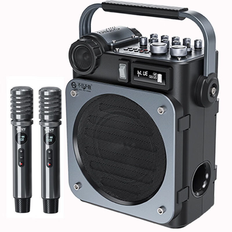 不见不散流浪者D6户外K歌音响客厅环绕声重低音炮手提便携式麦克风一体家庭KTV广场舞蓝牙音箱高音质大音量 【D6黑色-双麦版】无线乐器收发器+无线精灵二代+送U盘
