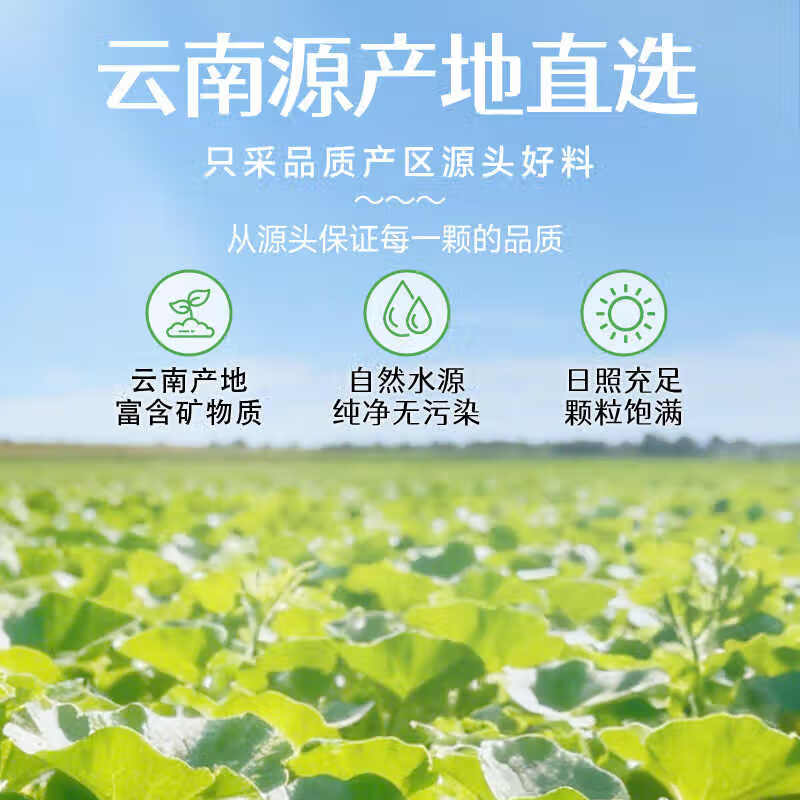 味滋源黑金刚南瓜子330g罐装 大颗粒盐味新炒货坚果籽零食小包装年货 330g/罐*1