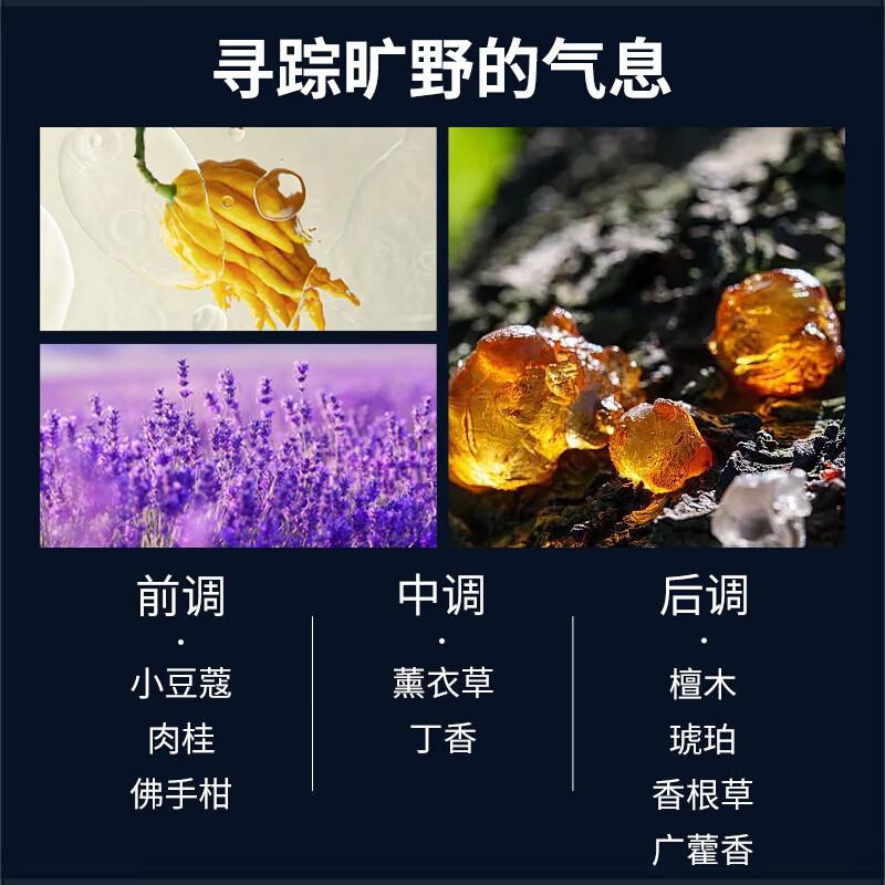 马丁（Martin）油桶男/女士洗发水深层清洁持久留香洗头膏洗发乳礼物送男友圣诞 【控油升级】蓬松净澈洗发露 480ml*1瓶 旷野的气息