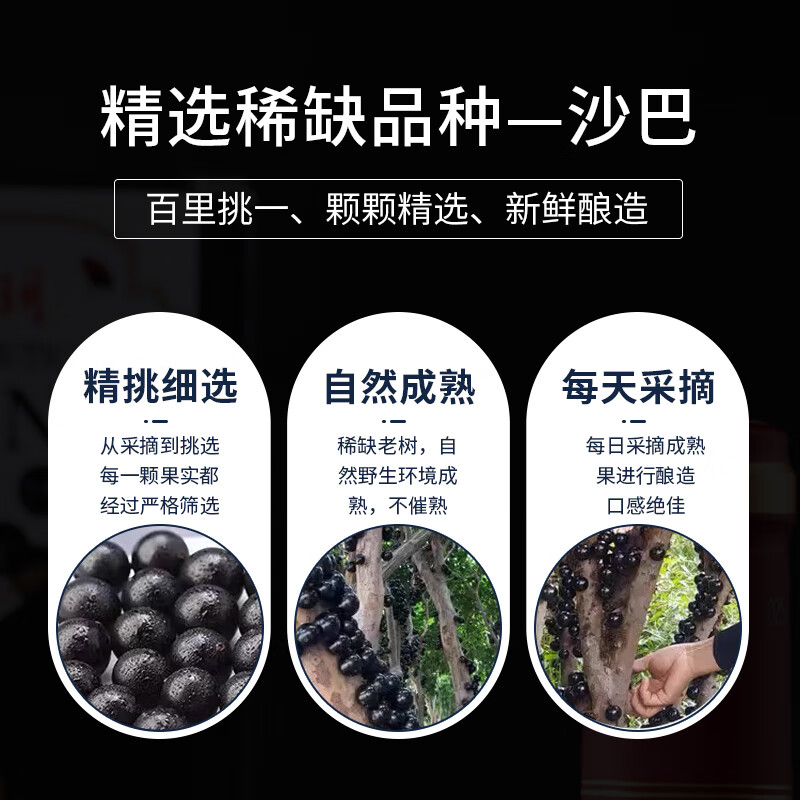 赫玥嘉宝果干红树葡萄酒嘉宝红酒原产产区 国际银奖 意大利源远流长 3箱/18瓶 × 750ml