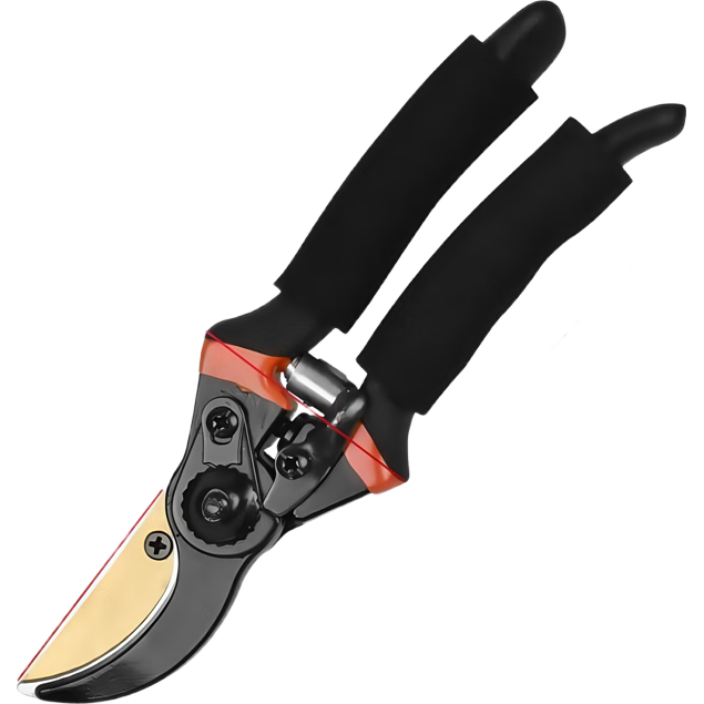 ��Ǵ��� ��6��SK5����֦�� �������ֱ� ԰�ռ���