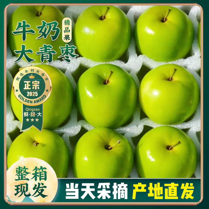 三萌果蔬福建牛奶大青枣 贵妃蜜枣脆甜枣当季新鲜孕妇水果现摘送礼整箱 5斤装【颗颗精选丨单果约60g+】净4.5斤