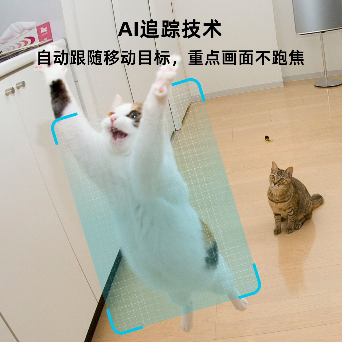 VIRTAVO维塔卫双镜头云台宠物监控摄像头 室内看护狗狗猫咪监控器 360°全景视角 全彩夜视语音对讲 宠物监控（可关联Apple Watch ） 摄像头+32G卡