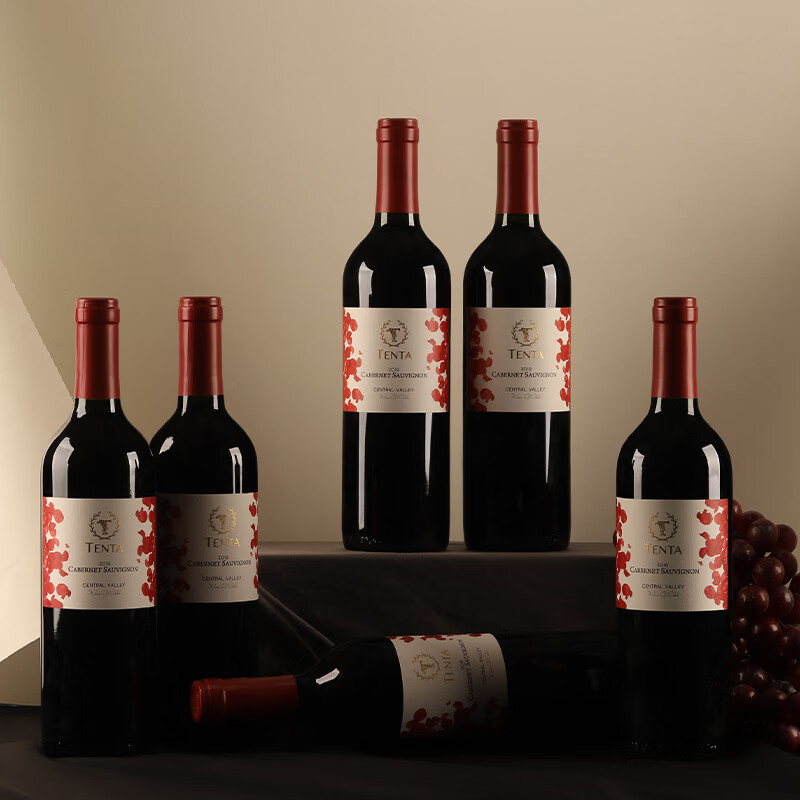 天帕（TENPA）智利中央山谷原瓶进口 赤霞珠干红葡萄酒品种级红酒 750ml13.5度 整箱6支