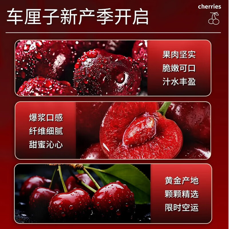 江南沐汐智利车厘子【JD顺丰-多地次日达】进口4J级樱桃水果原箱礼盒 5斤(净重) 巨无霸3J 单果30-32mm