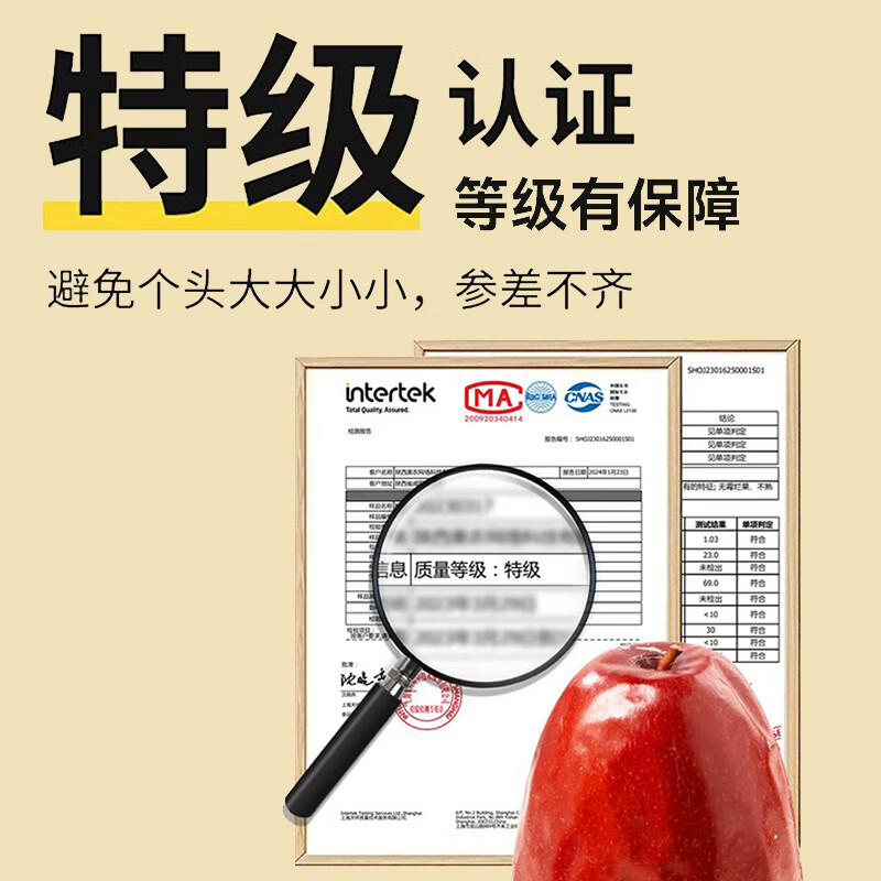丰域美疆大红枣新疆特级一级京东自经营2025新疆特产大枣子泡水喝煲汤零食 【超特级枣王】阿克苏最好的枣 【净重2斤】高品质产地价