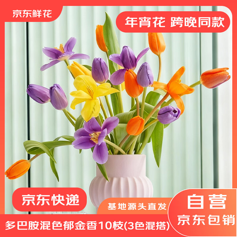 京东鲜花跨晚同款-郁金香鲜花10枝多巴胺混色（三种颜色混搭）源头直发