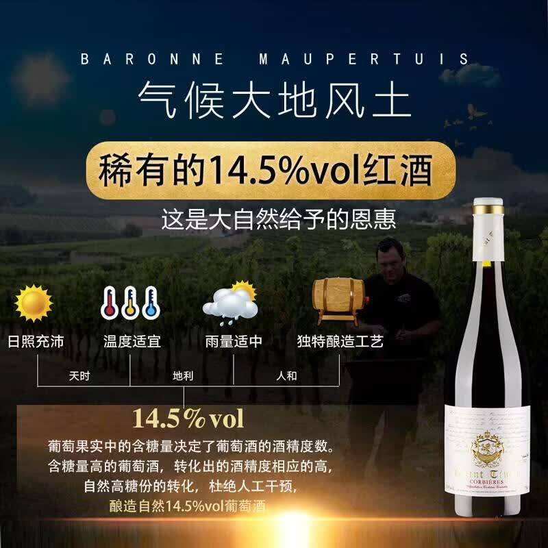 圣汀格(SAINT TINGE)法国原瓶进口AOC级葡萄酒 礼盒装整箱6瓶 稀有14.5度传奇特 【原瓶进口】整箱6瓶礼盒装