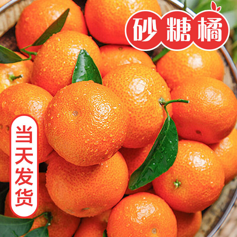 酷果汇新配送高山砂糖橘新鲜清甜沙糖橘橘子应季小桔子蜜桔金秋薄皮水果 整箱5斤热销果【35-55MM】净4.5斤