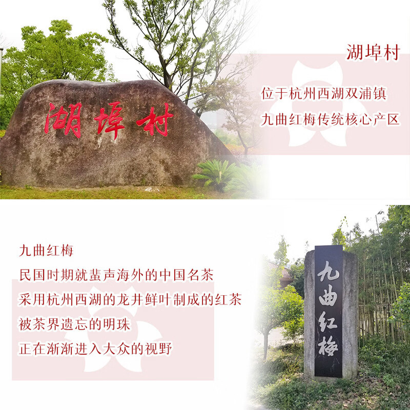 宸府梅家九曲红梅红茶2025新茶杭州特产龙井红茶散装口粮茶传统纸包装125g 【二级红茶】九曲红梅纸包装125g*2包