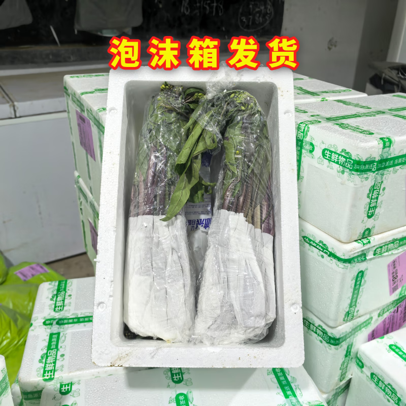 现摘红菜苔湖北红菜苔蔬菜红菜苔菜心紫菜苔油菜苔菜心芸菜苔便宜 净重1斤 露天种植 脆嫩红菜苔 泡沫箱+保鲜膜锁鲜发货