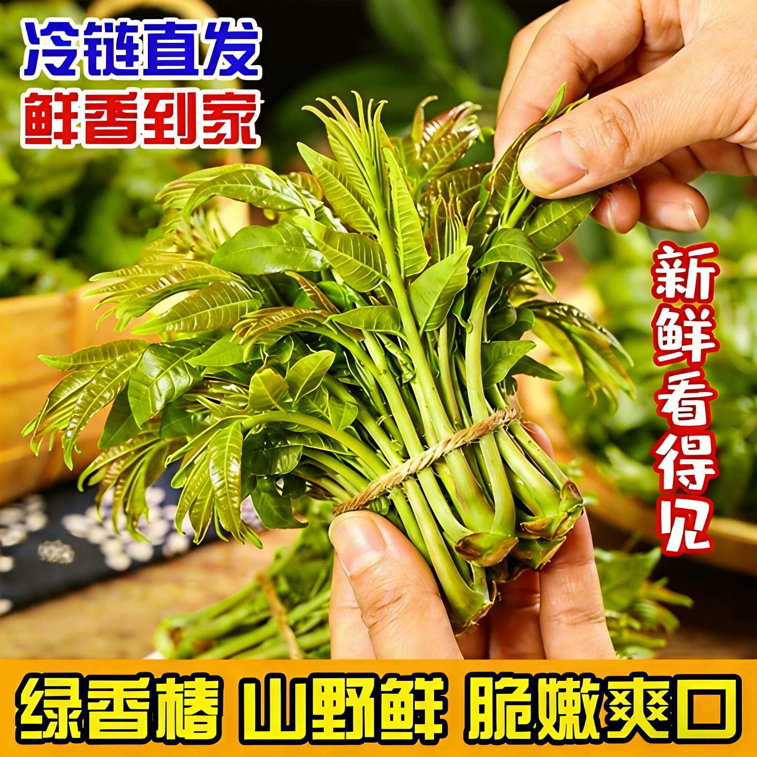 金百粟2026年新鲜头茬香椿芽野菜红绿油香椿叶野生现采香椿蔬菜现摘 0.5斤香椿-顺丰到家