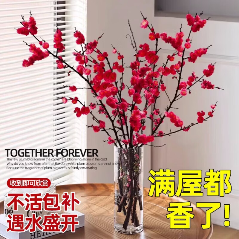 中梦水培红梅鲜切枝室内植物浓香耐寒四季腊梅花卉桃枝鲜枝干枝年宵花 鲜切红梅枝50-60厘米10枝（不含瓶）