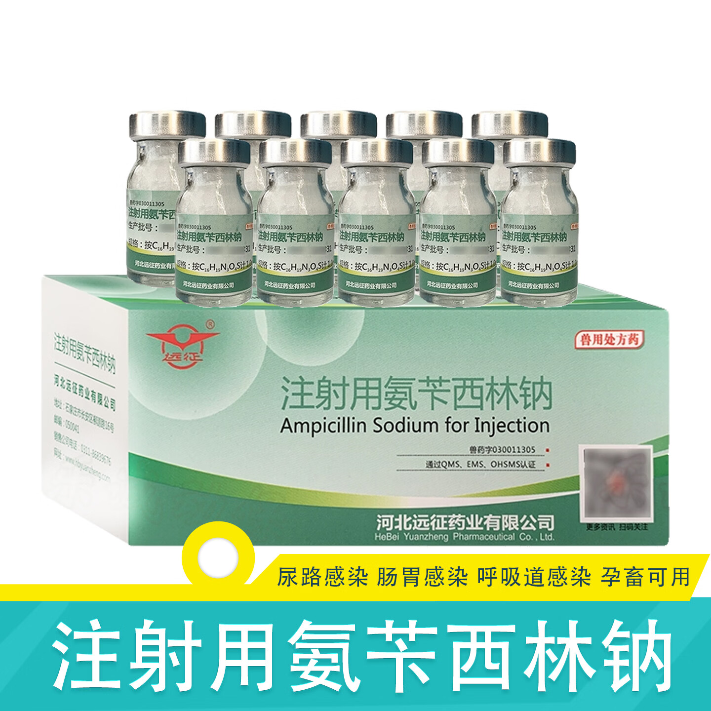 兽用远征注射用氨苄西林钠猪牛羊鸡狗猫大肠杆菌腹泻咳嗽抗菌消炎