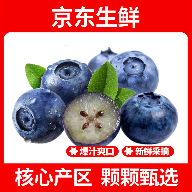 疆域采虹正宗云南高山蓝莓新鲜水果当季现摘大果当季孕妇酸甜口生鲜整箱 2盒 越多越划算【100-120g/盒】 尝鲜中小果【单果12mm+】口感偏淡